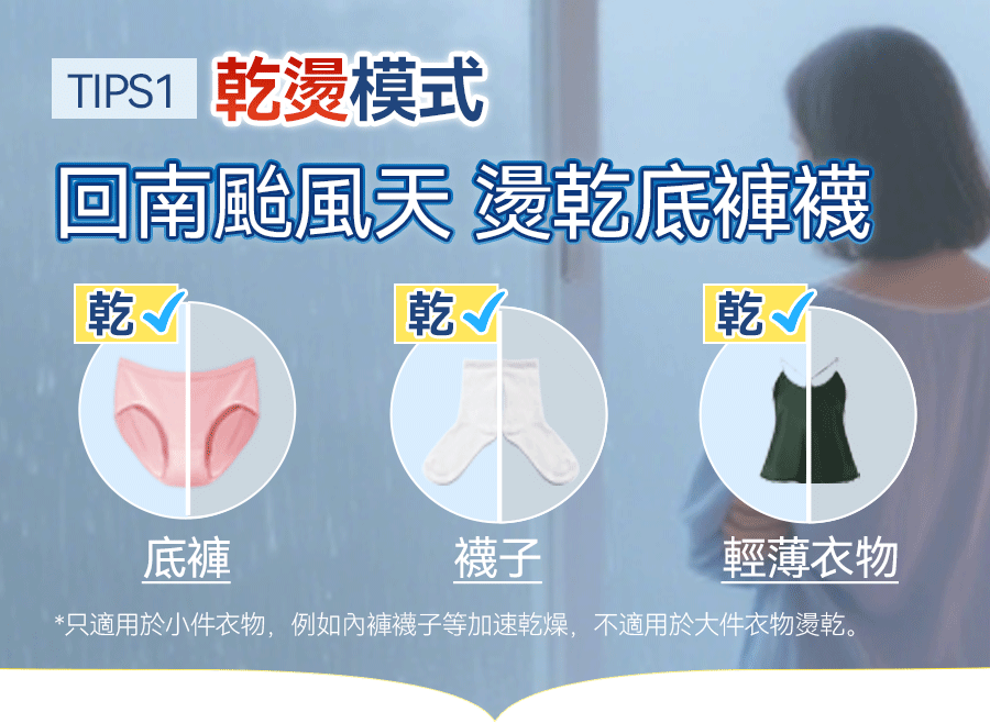 日本Yohome Multi-V輕感旋轉多衣適溫即熱大面積除皺蟎菌雙淨掛燙機