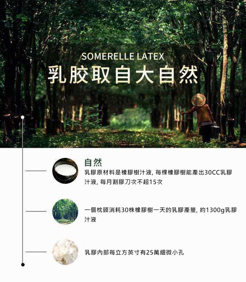新款泰國天然乳膠枕頭枕芯38x60cm