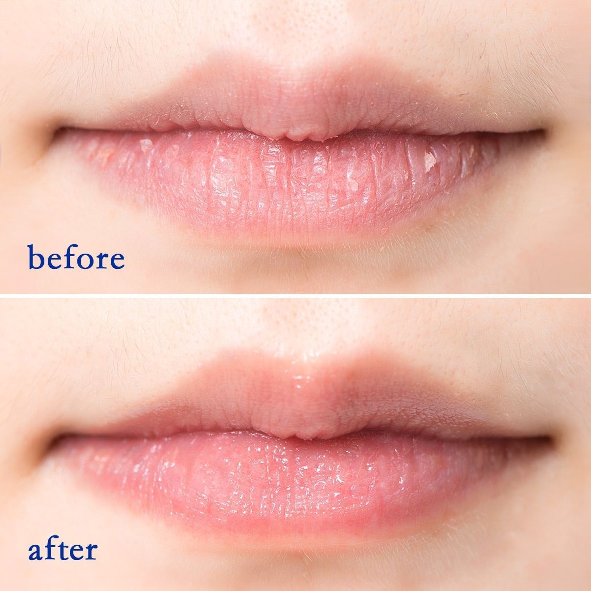 日本DHC純橄欖護唇膏保濕滋潤無色潤唇膏1.5g(平行進口)4511413302163